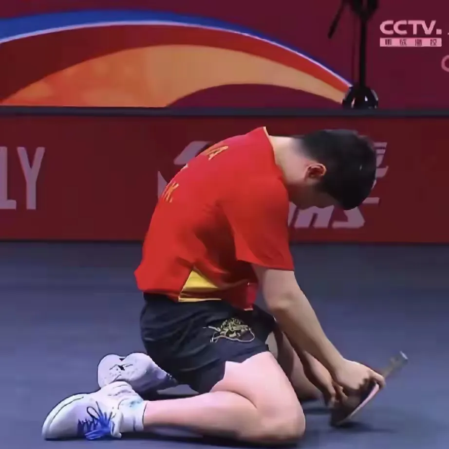 法国队险胜中国队，许昕统治全场