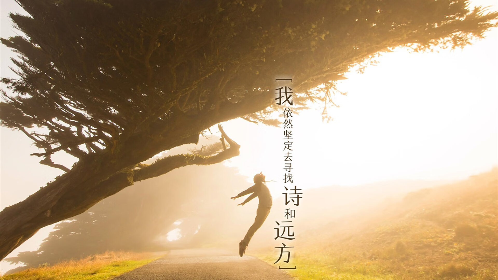 速度与高度,F1揭幕战之夜与戈贝尔的里程碑交响曲