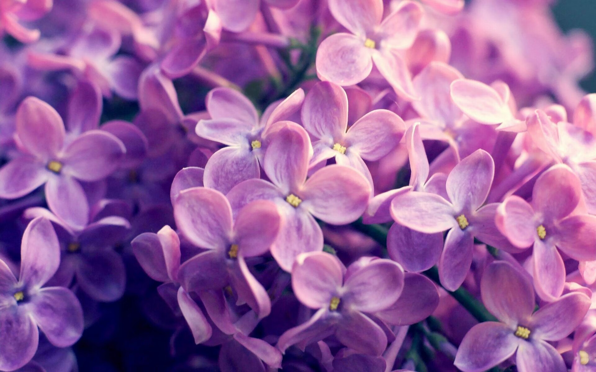 意甲焦点战之夜，拉文独舞，闪电三连击刺穿夜幕