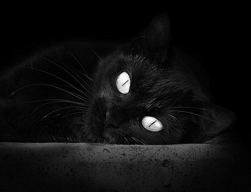 布伦森40+纪录夜+篮网六人上双，爵士防线被双重奏击穿