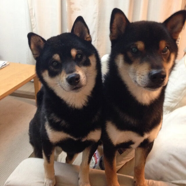 血拼之战，拉梅洛关键得分助老鹰战胜步行者