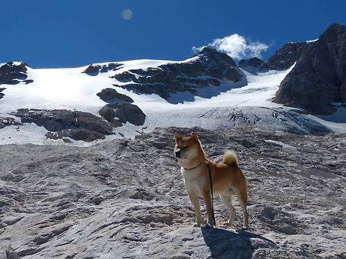 东方不亮西方亮，摩纳哥绝地逆转，关键先生阿尔瓦雷斯一锤定音