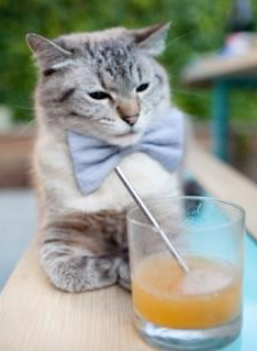 钢铁箭矢,当卡拉斯科在达喀尔的火焰中射落安哥拉的幽灵