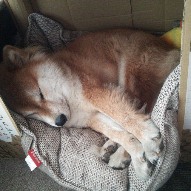 冰封时刻,英格拉姆用钢铁防线,将浙江队的锋芒冻在了记分牌之外