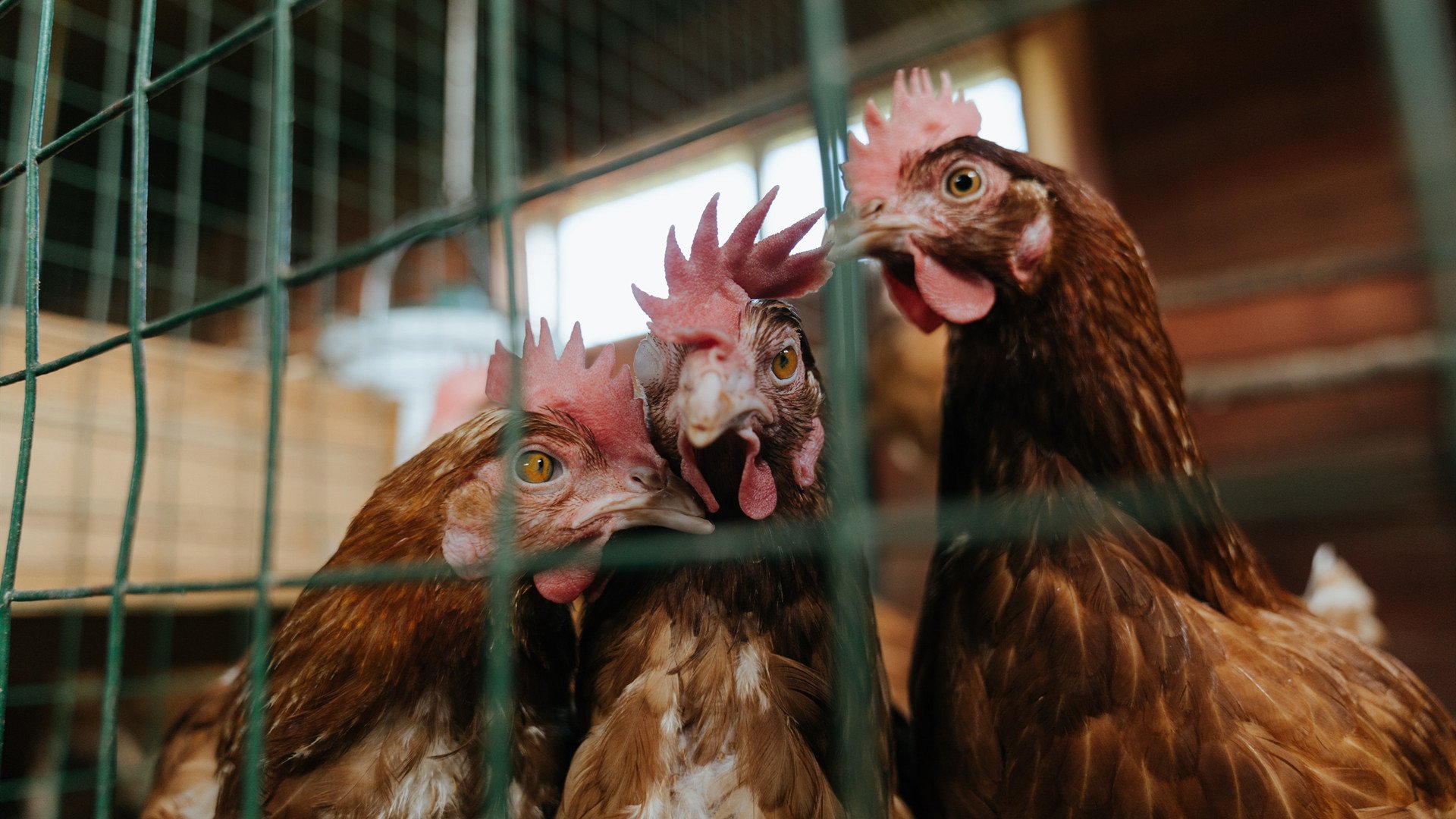 开云体育app-意甲焦点战之夜，阿什拉夫化身右路风暴，连续得分撕开冠军迷雾
