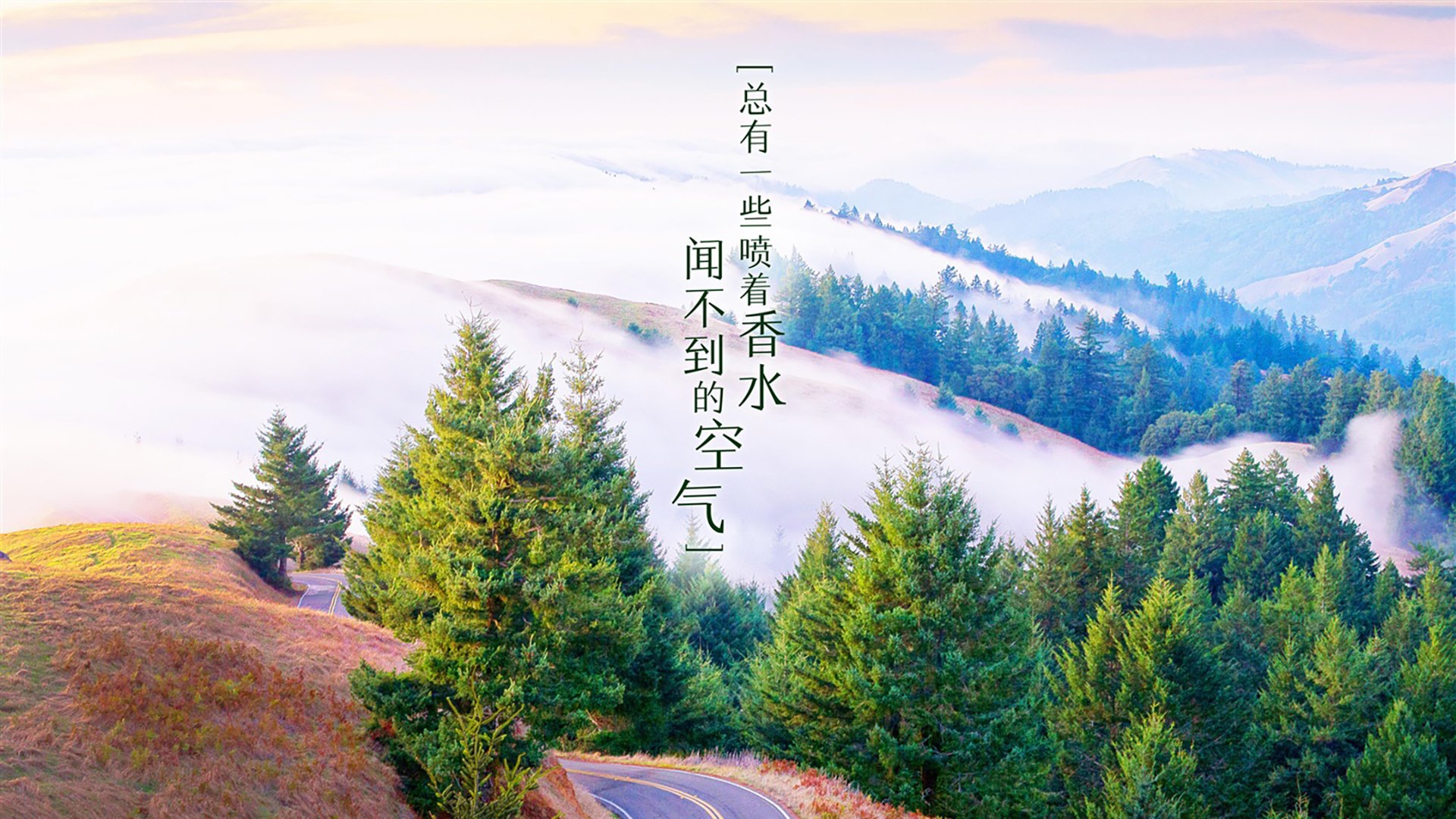 新王登基！哈利伯顿连珠炮轰击沉快船，奇才迎来蜕变曙光