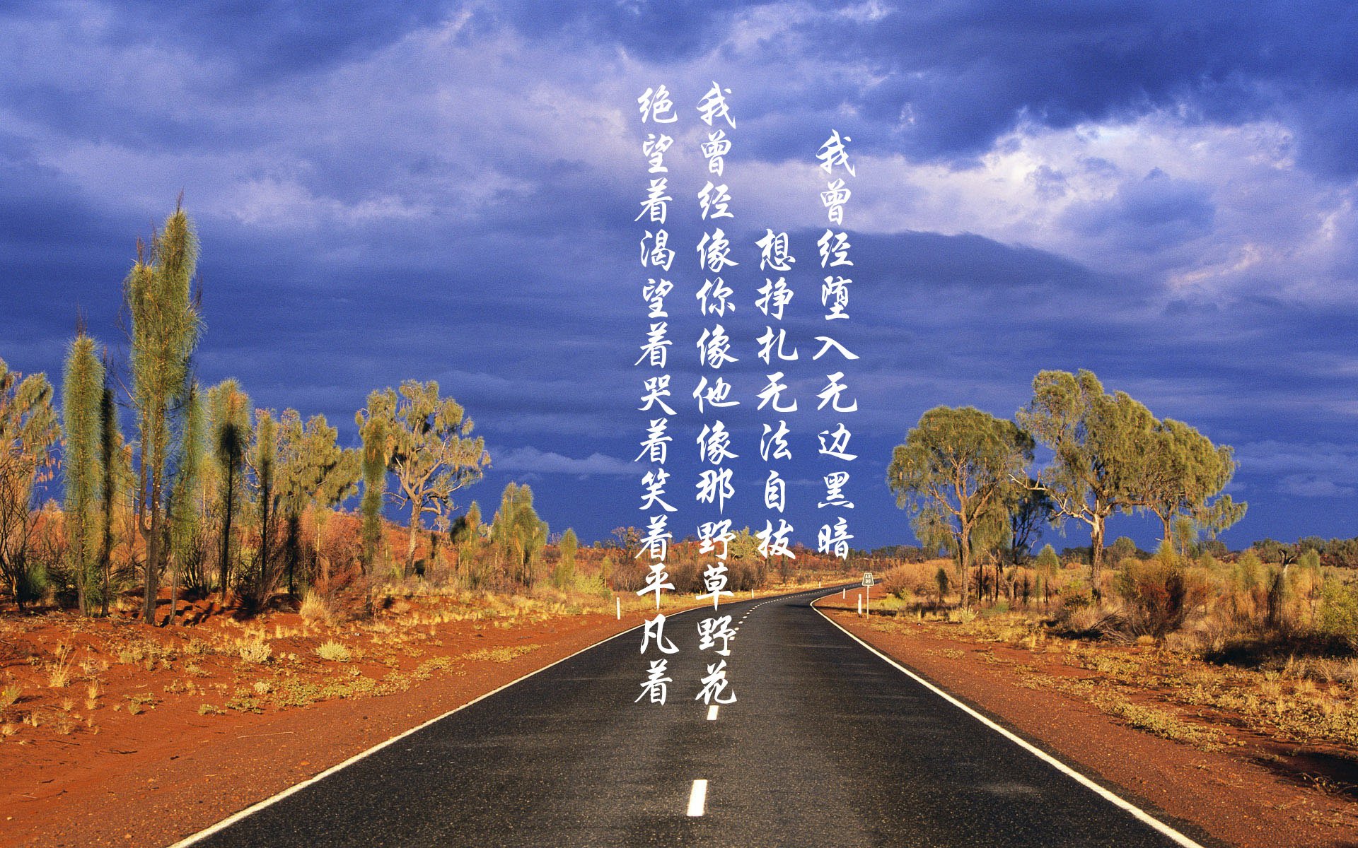 死亡之组的血色黄昏，当袋鼠军团撕碎太极虎，吉鲁用不老神话照亮卡塔尔夜空