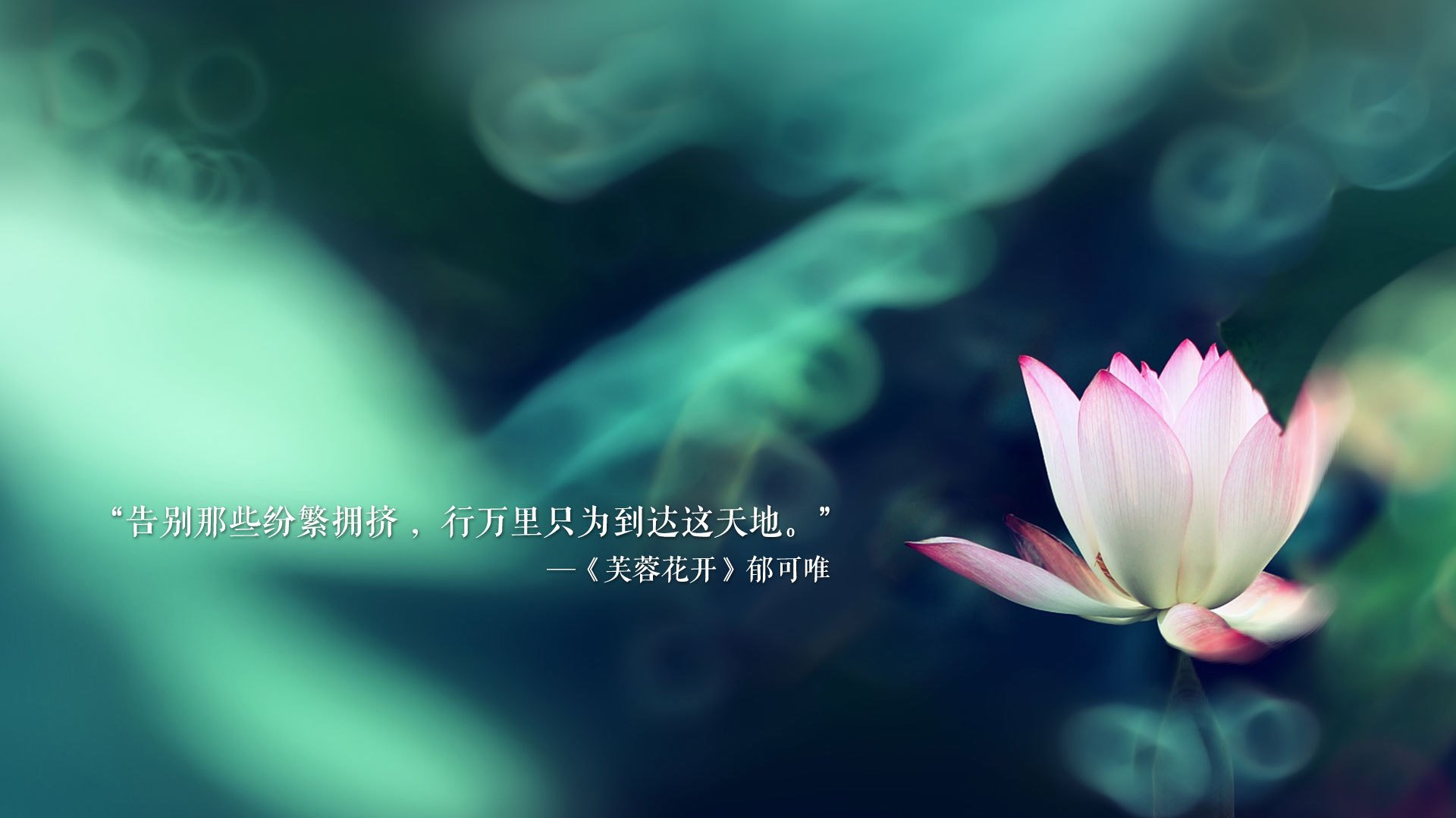 开云体育中国-致命一击，德容的左脚如何为一届唯一的世界杯争冠战画上句号