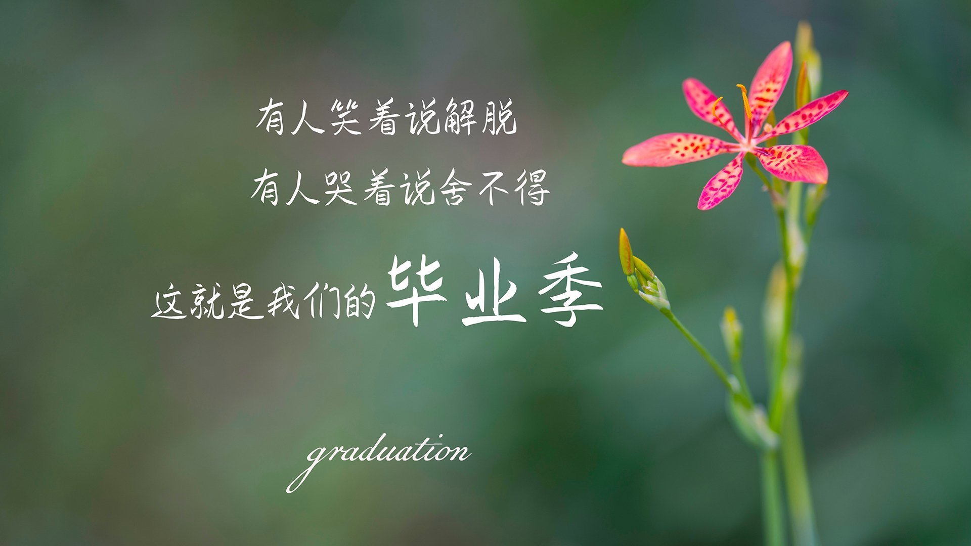 （扩展思维后的选择）