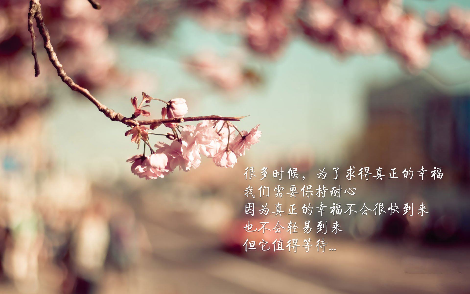 塔雷米独木难支，荷兰默契洪流碾压尼日利亚—美加墨世界杯焦点战全景复盘